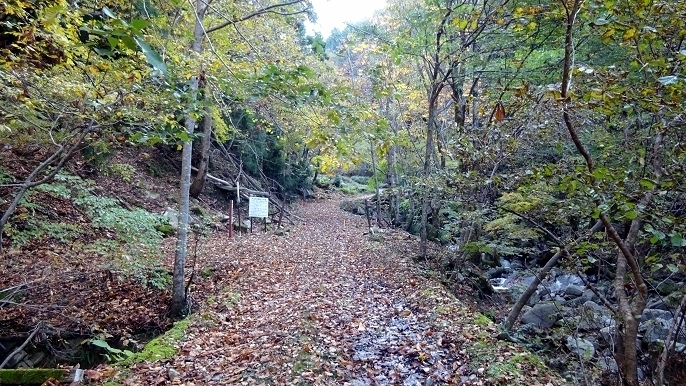 n1.jpg