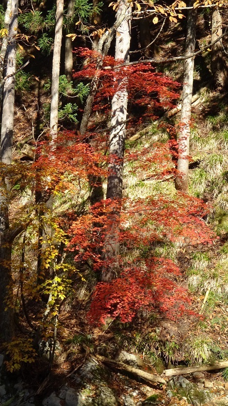 n10.jpg