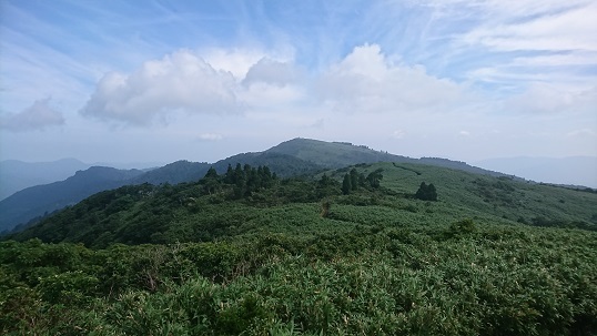 n10.jpg