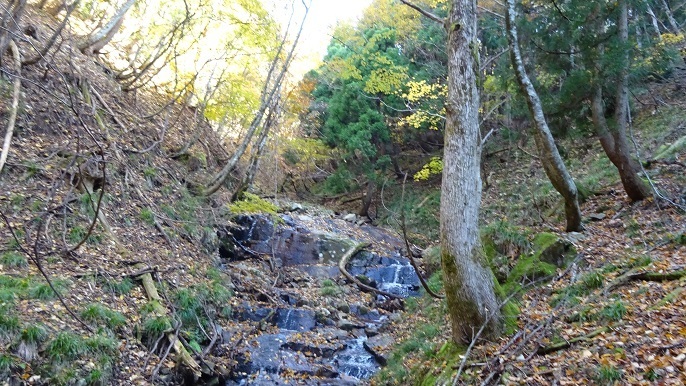 n11.jpg