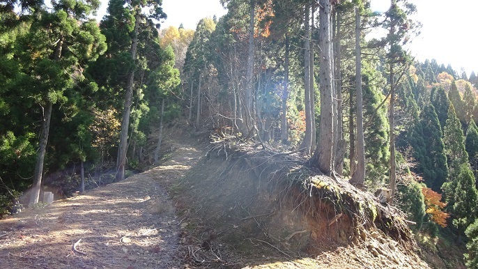 n13.jpg