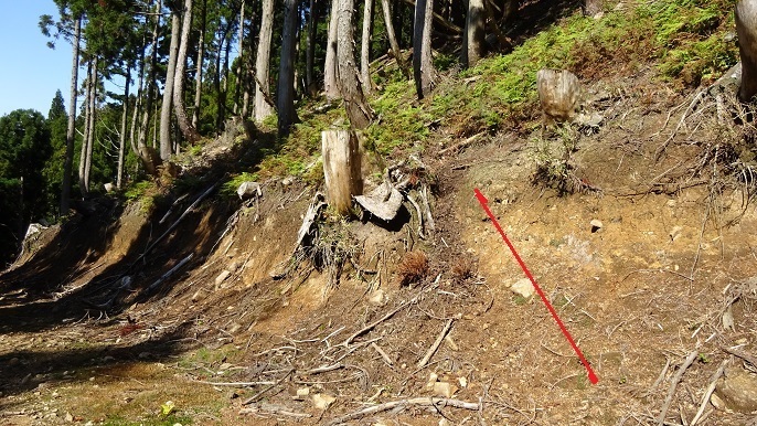 n14.jpg
