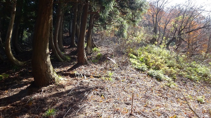 n15.jpg
