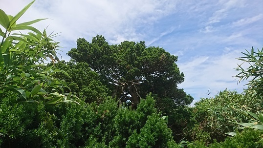 n15.jpg