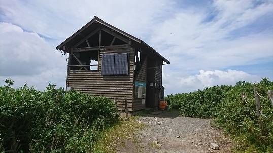 n16.jpg