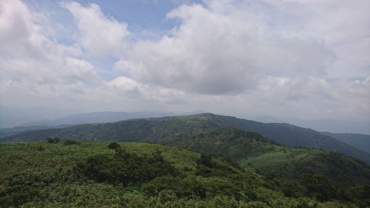 n17.jpg