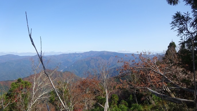 n18.jpg