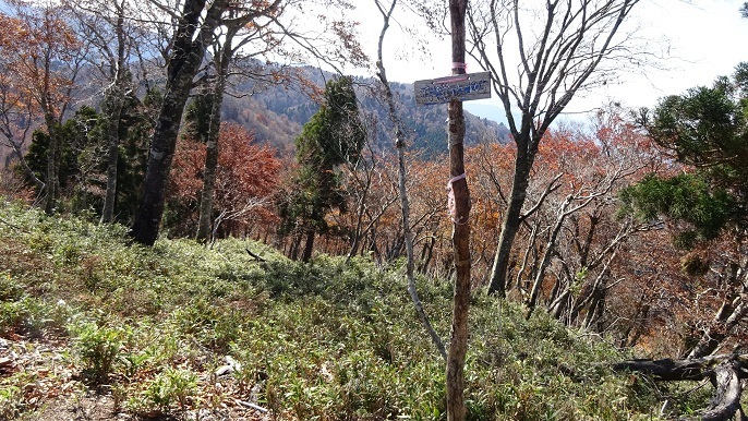 n19.jpg