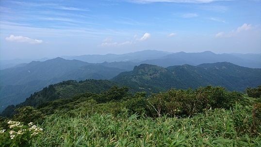 n21.jpg