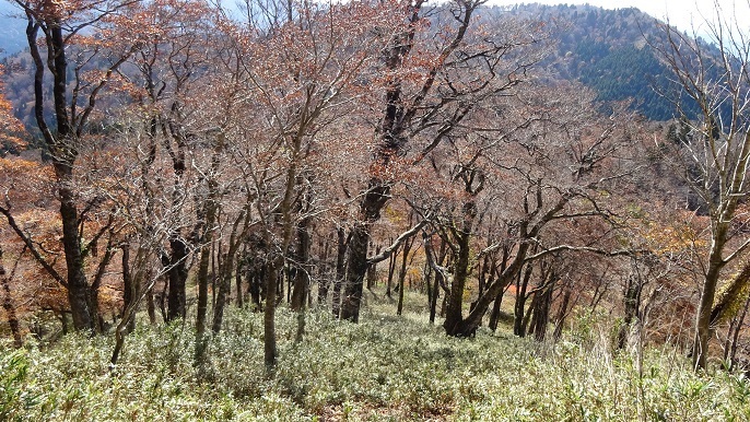 n22.jpg