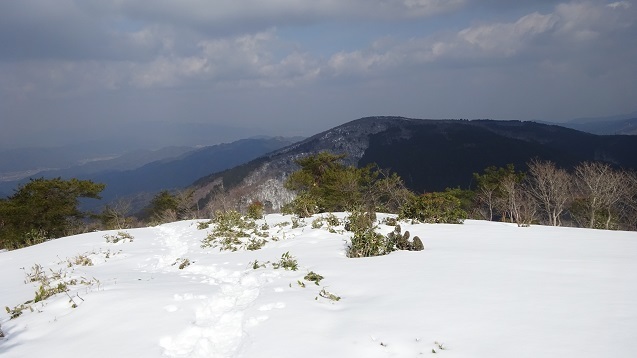 n23.jpg