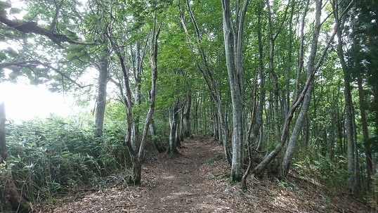 n27.jpg