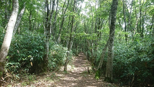 n28.jpg