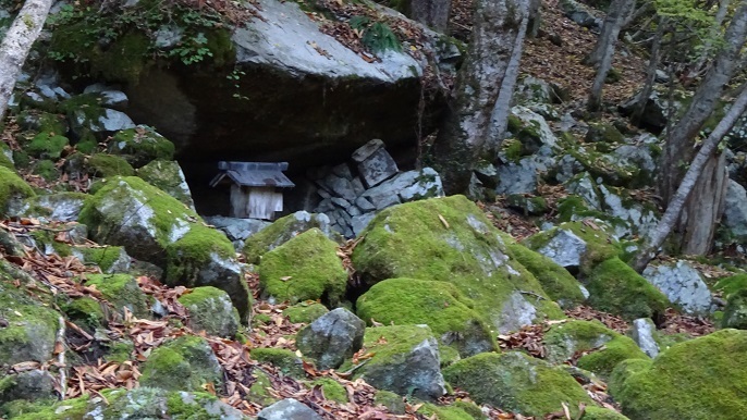 n3.jpg