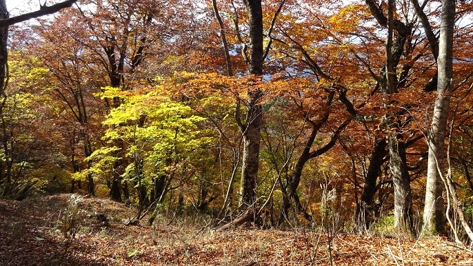 n34.jpg