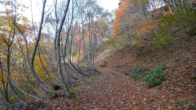 n39.jpg