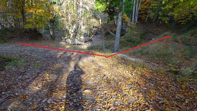 n40.jpg