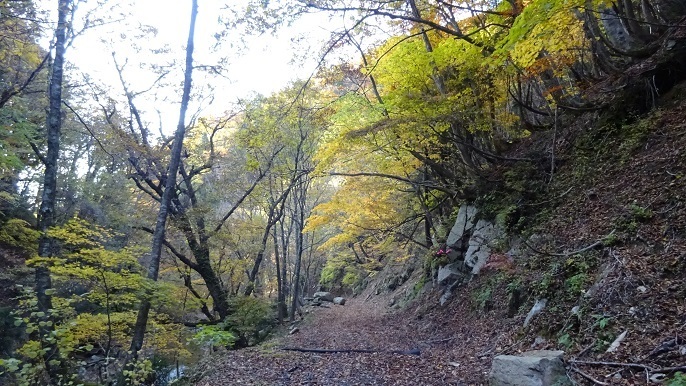 n43.jpg