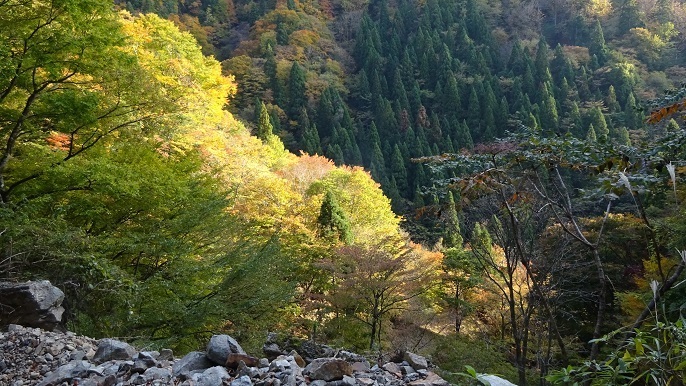 n55.jpg