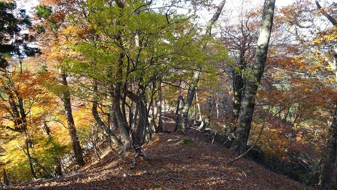 n67.jpg