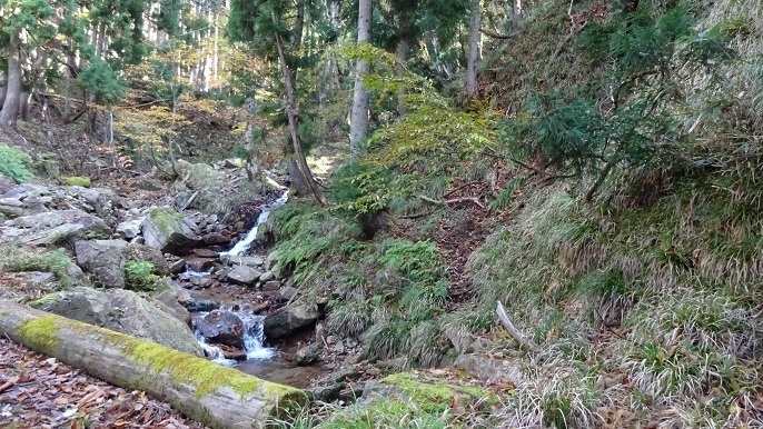 n8.jpg