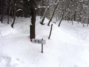 ne15.jpg