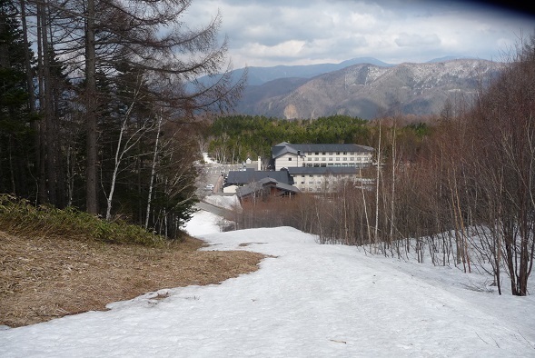 no14.jpg