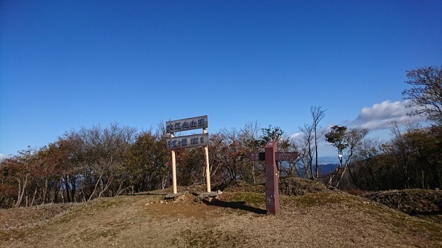 o11.jpg