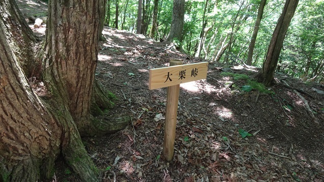 o14.jpg