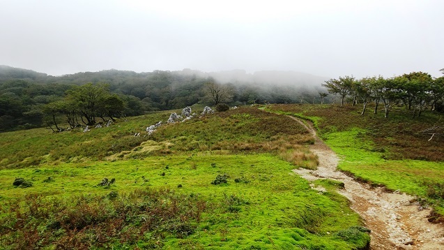 o15.jpg