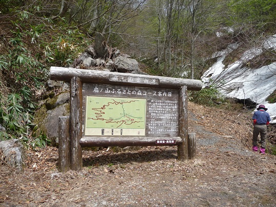 ogi29.jpg
