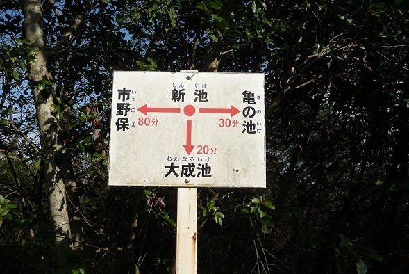 oo22.jpg