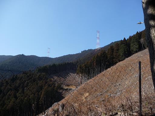 oyama10.jpg