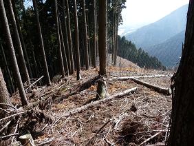oyama12.jpg