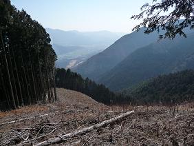 oyama13.jpg