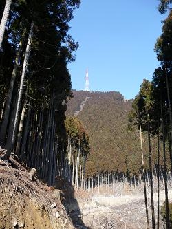 oyama8.jpg