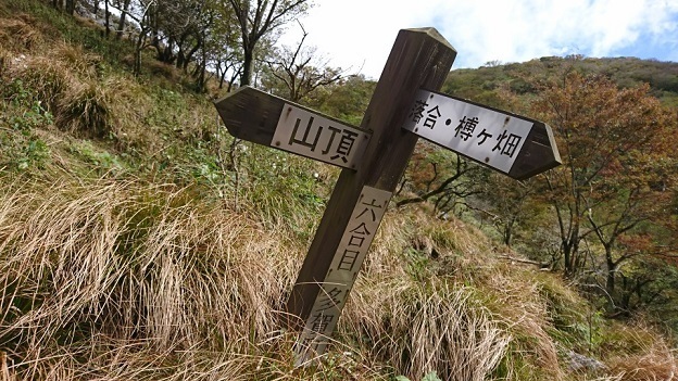 r9.jpg