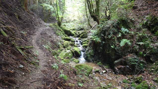 s11.jpg