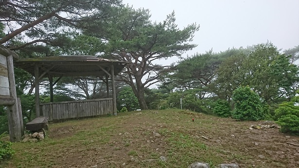 s14.jpg