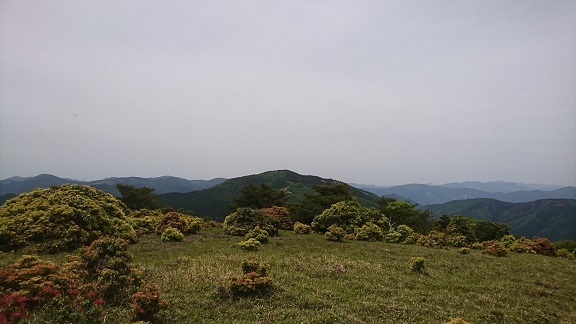 s17.jpg