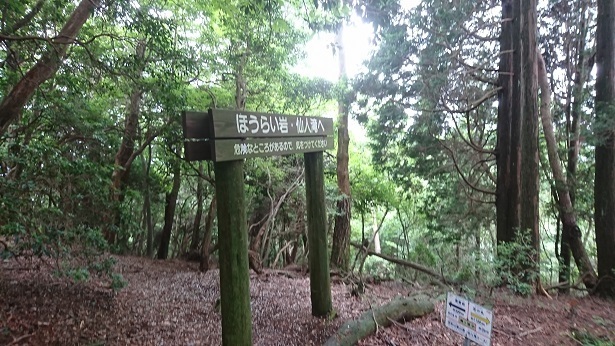 s18.jpg