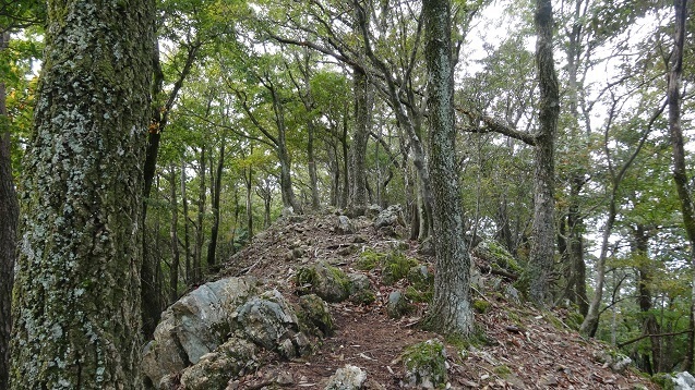 s19.jpg