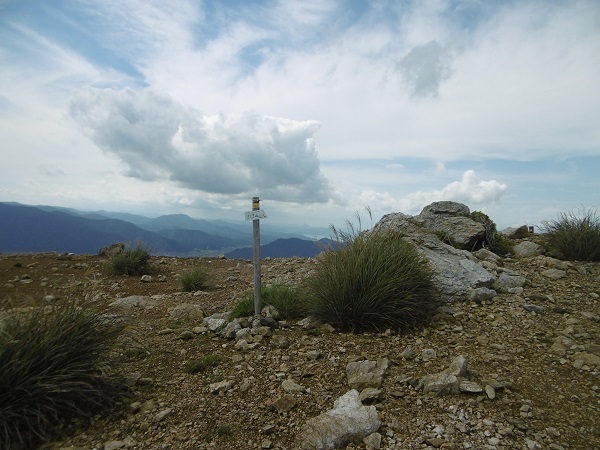 s22.jpg