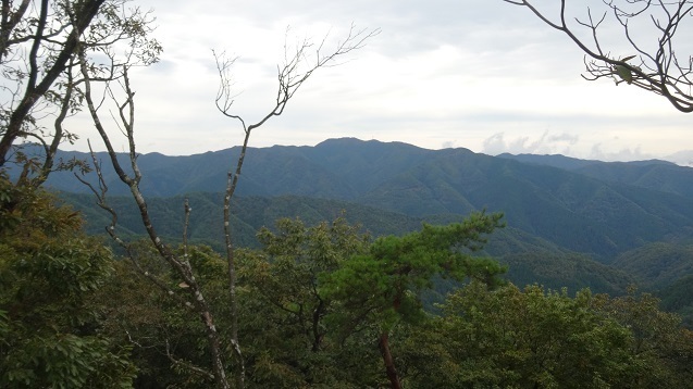 s22.jpg