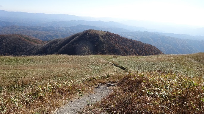 s25.jpg