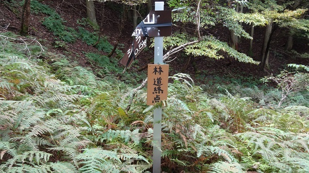 s26.jpg