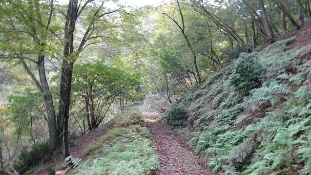 s27.jpg