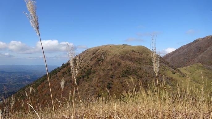 s28.jpg
