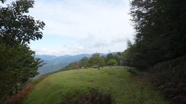s28.jpg