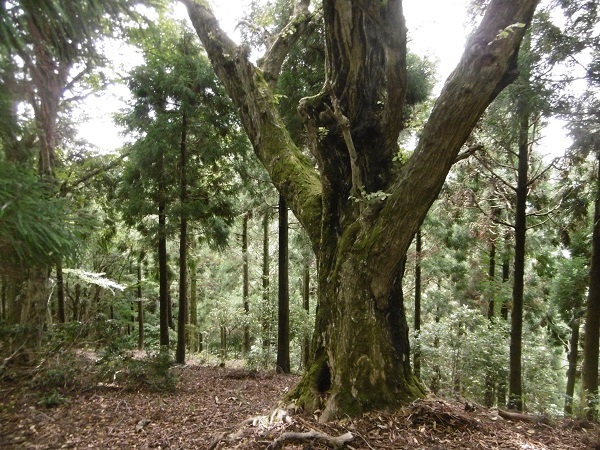 s28.jpg